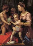 Andrea del Sarto Holy Family with St. John young china oil painting reproduction